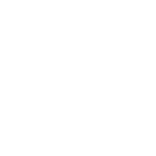 Rossotrudnichestvo Partner